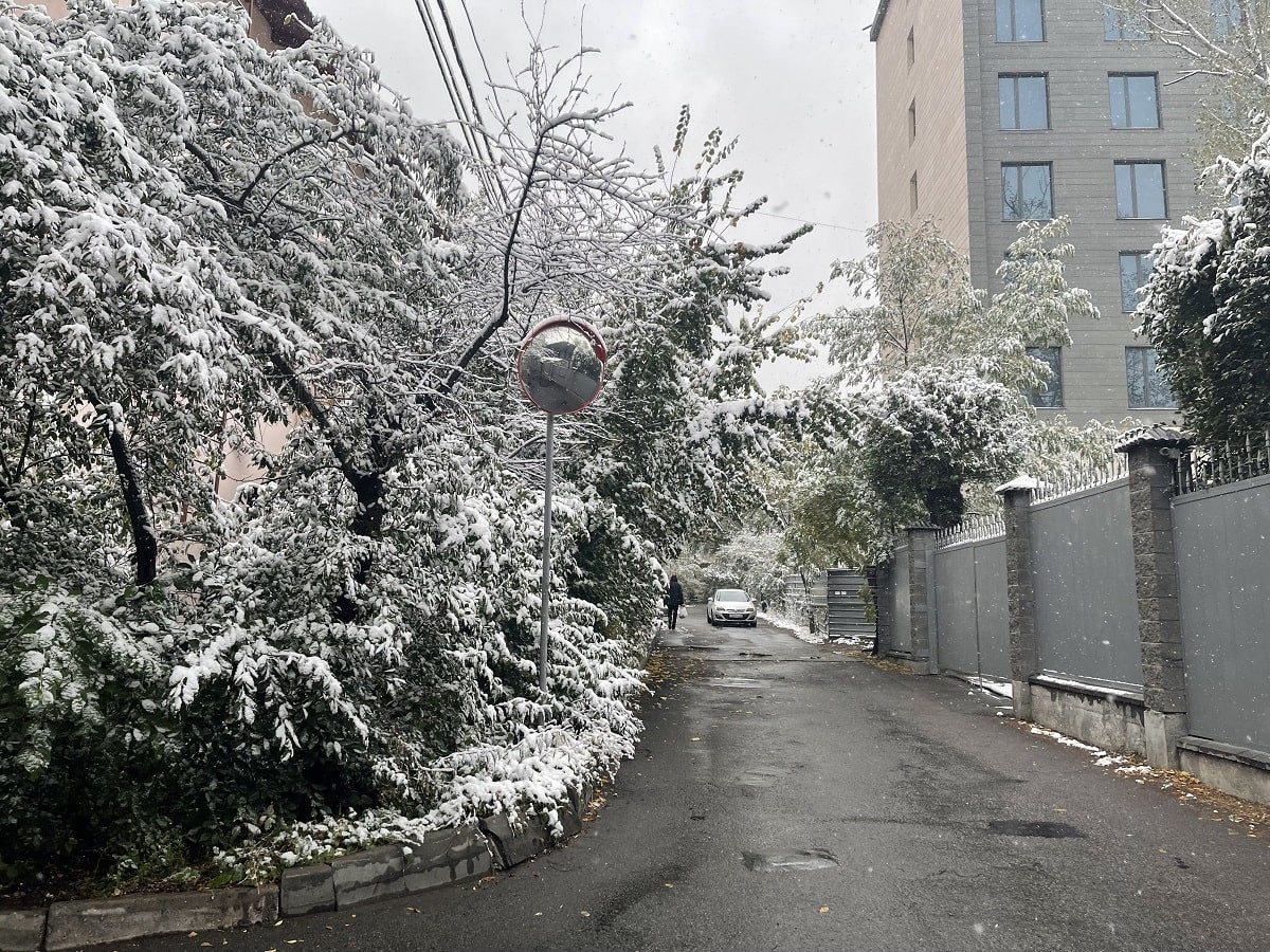 Первый снег в Алматы: как работают коммунальные службы города