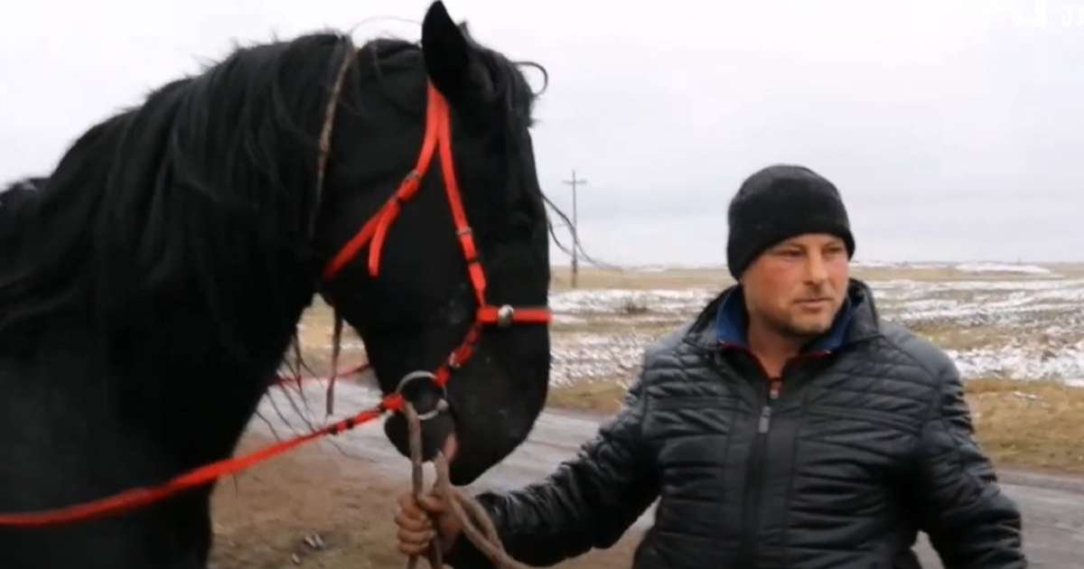 По национальности немец, но в душе казах: Олег Кеплинг разводит лошадей и играет в кокпар 