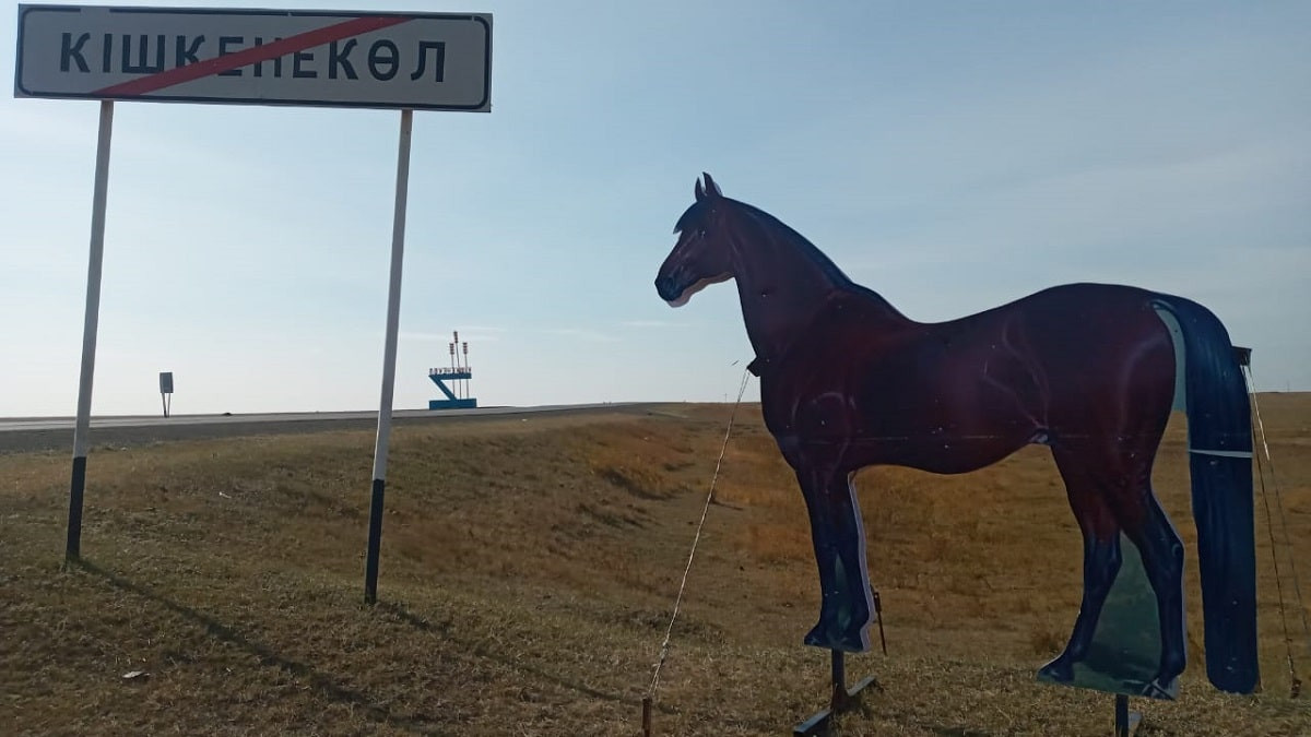 Ноу-хау по-североказахстански: на трассах установили макеты лошадей и детей