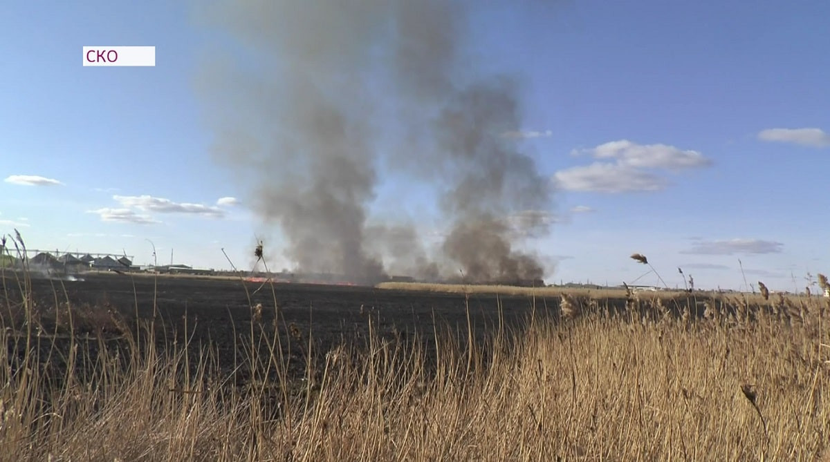 Более трех гектаров камыша сгорело в Петропавловске