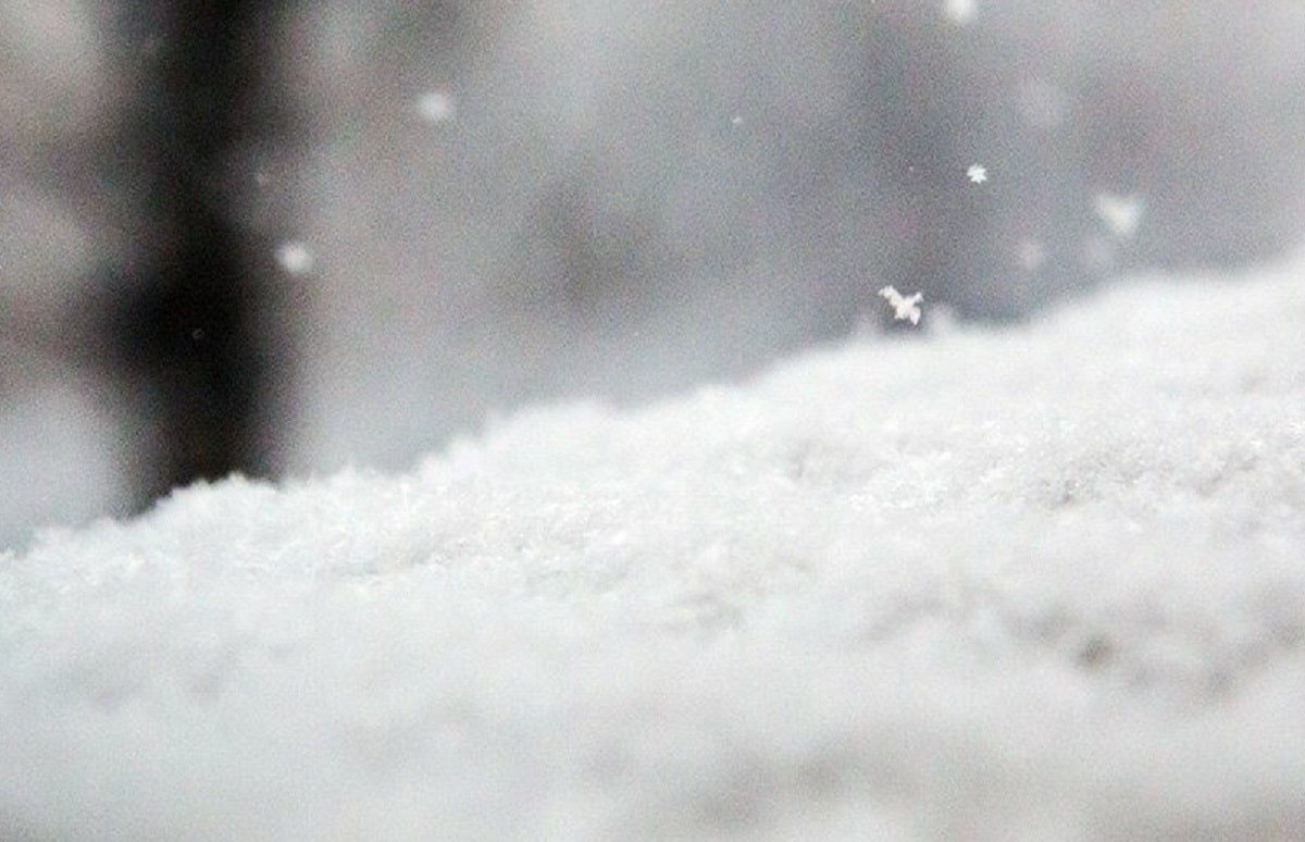 Дождь, снег и туман: в ДЧС предупредили алматинцев о непогоде в горах 