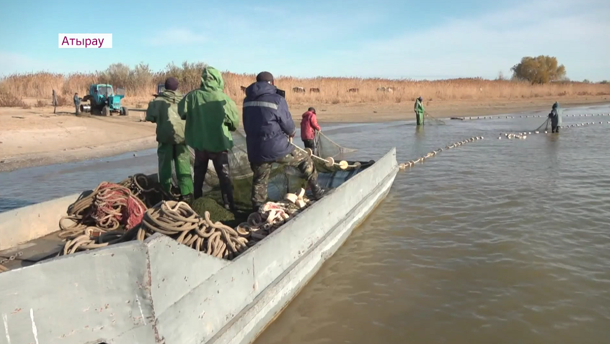 Атырауские рыбаки могут разориться из-за обмеления Каспия