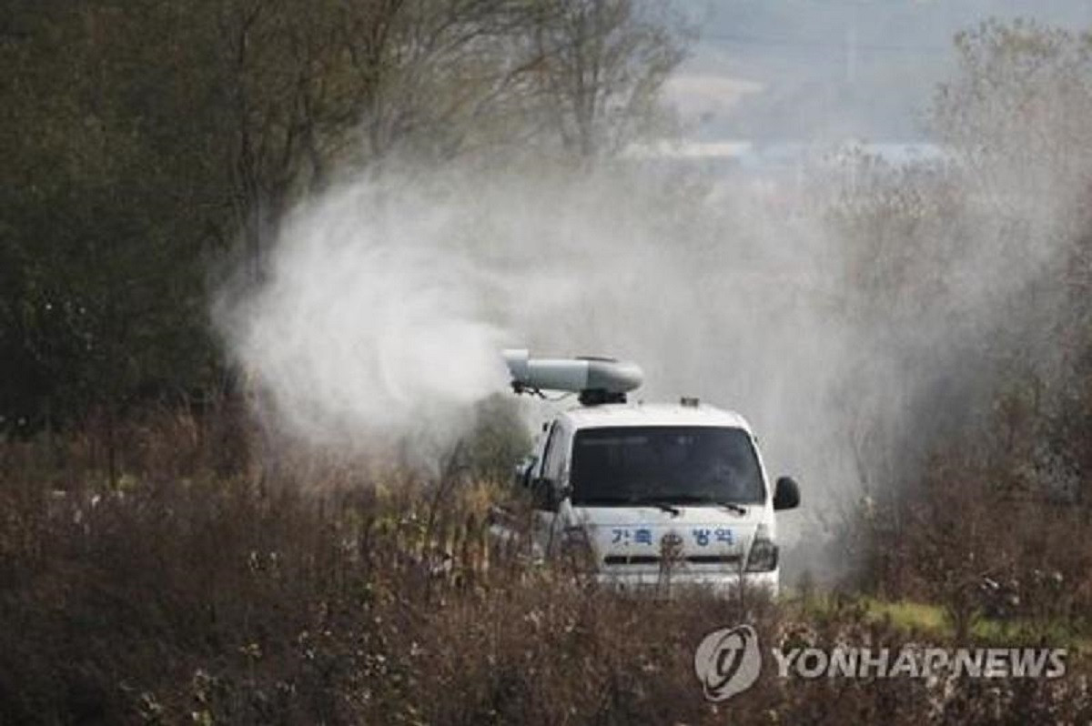 Оңтүстік Кореяда құс тұмауының ошағы анықталды  