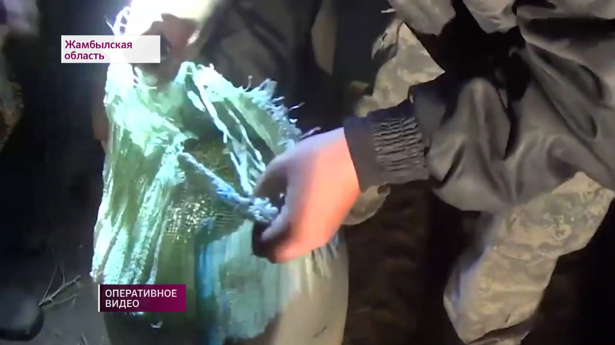 Полицейские Жамбылской области изъяли более 3 тонн наркотиков с начала года