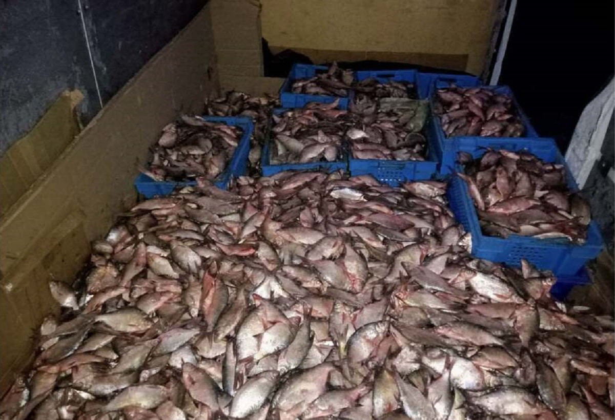 Крупный улов: в Алматинской области задержали браконьера с тонной рыбы