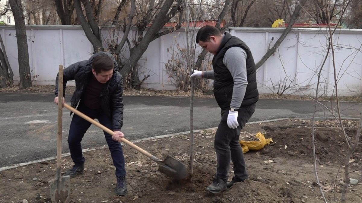 Алматинцы высадили деревья в Ауэзовском районе в честь 30-летия Независимости 