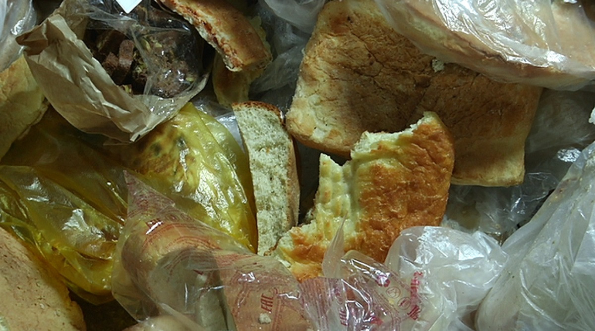 Просроченный хлеб еще принесет пользу - братья из Алматы знают, как переработать отходы 