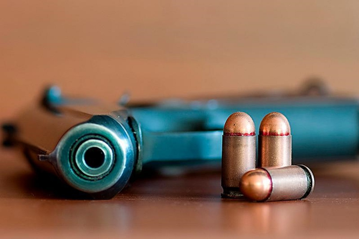 Коллекцию огнестрельного оружия изъяли у жителя Жамбылской области 
