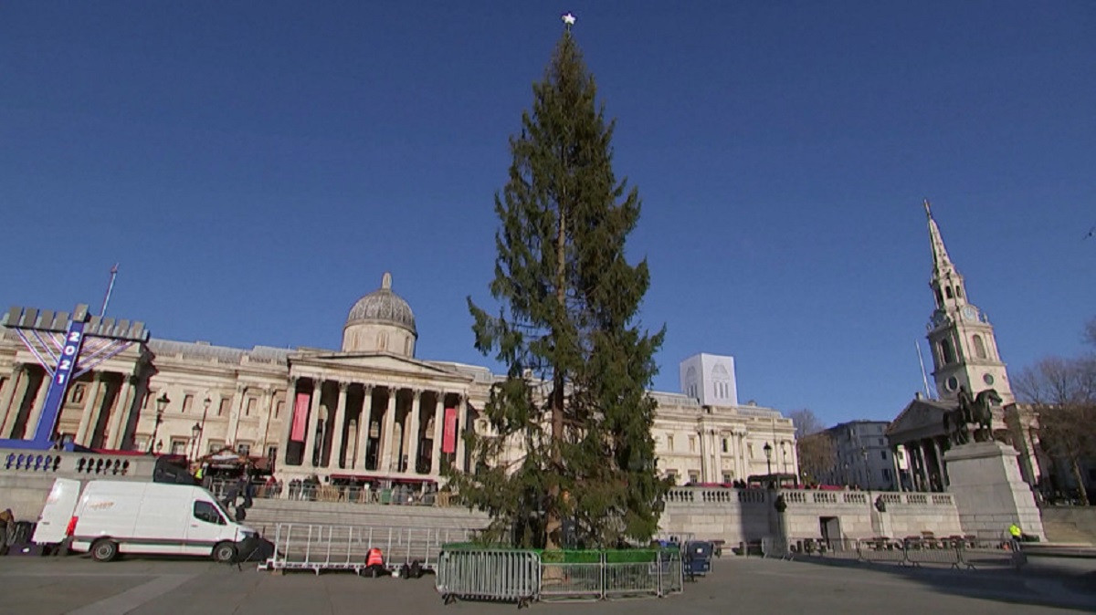 Елка по-английски: лондонцы высмеяли странное дерево на Трафальгарской площади