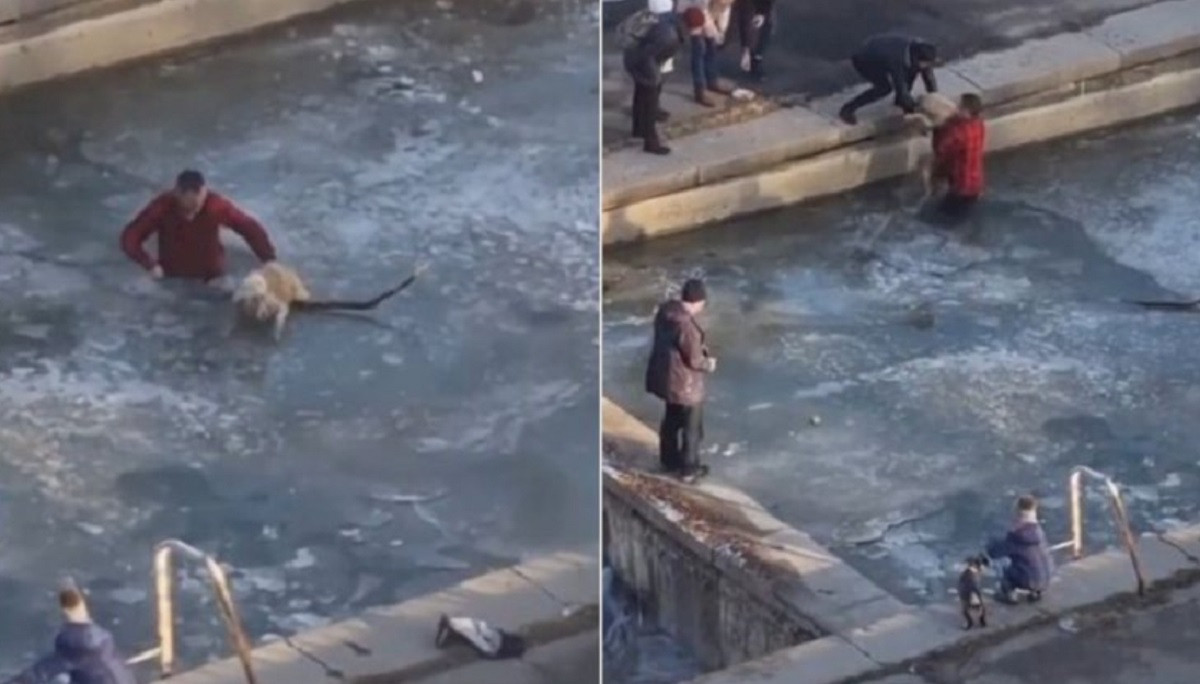 Мужчина спас собаку. Спас собаку из ледяной воды. Мужчина спас собаку из ледяной воды. Мужчина утонул спасая собаку. Мужчина спас собаку на льду.