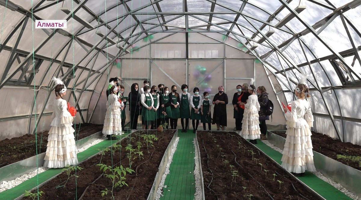Экологичное мышление: новая теплица открылась в школе Алматы 