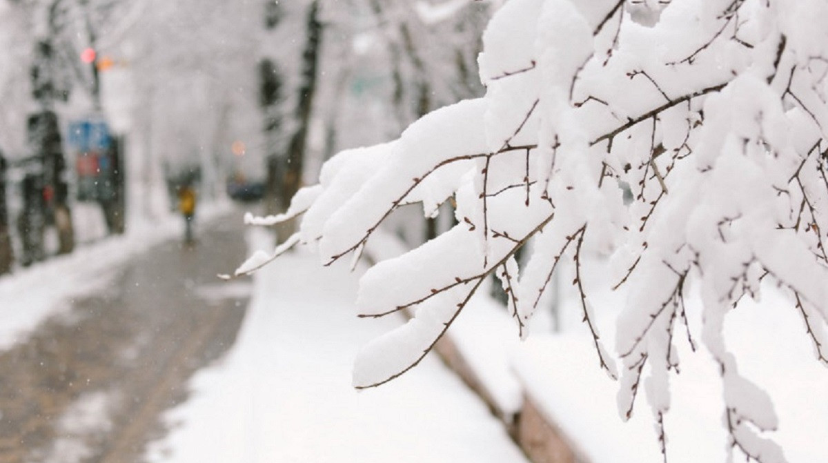 Снег и метель: синоптики прогнозируют похолодание в Казахстане