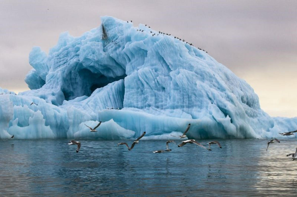 Антарктидада әлемдегі ең үлкен айсберг еріп жатыр  