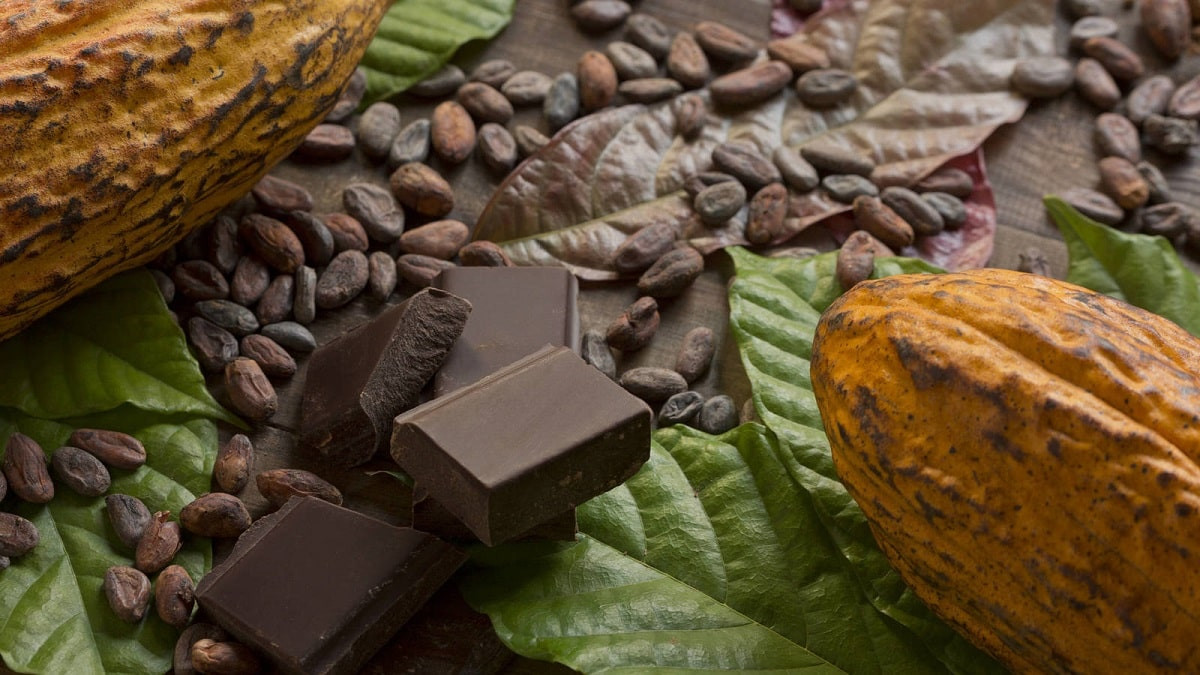 Ученые назвали неожиданную опасность шоколада