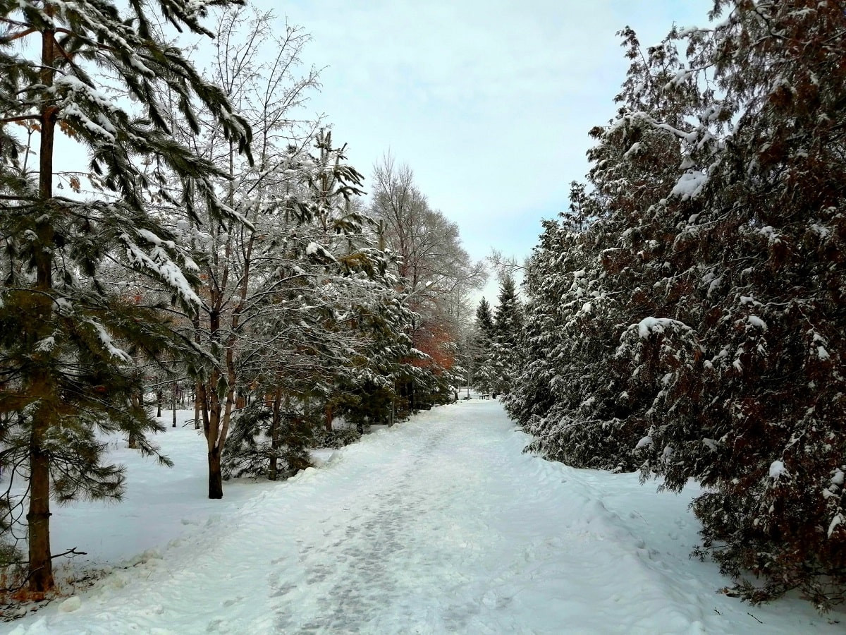 Погода в Алматы с 21 по 27 февраля 2022