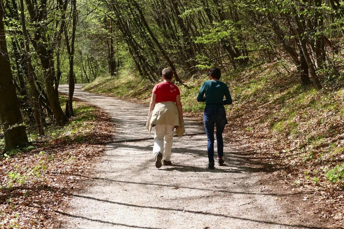 Пешие прогулки: ученые назвали необходимое для здоровья число шагов в день