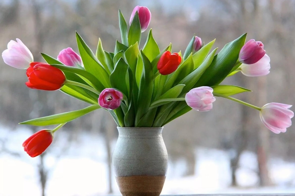 Чтобы не завяли: как сохранить цветы, подаренные на 8 марта