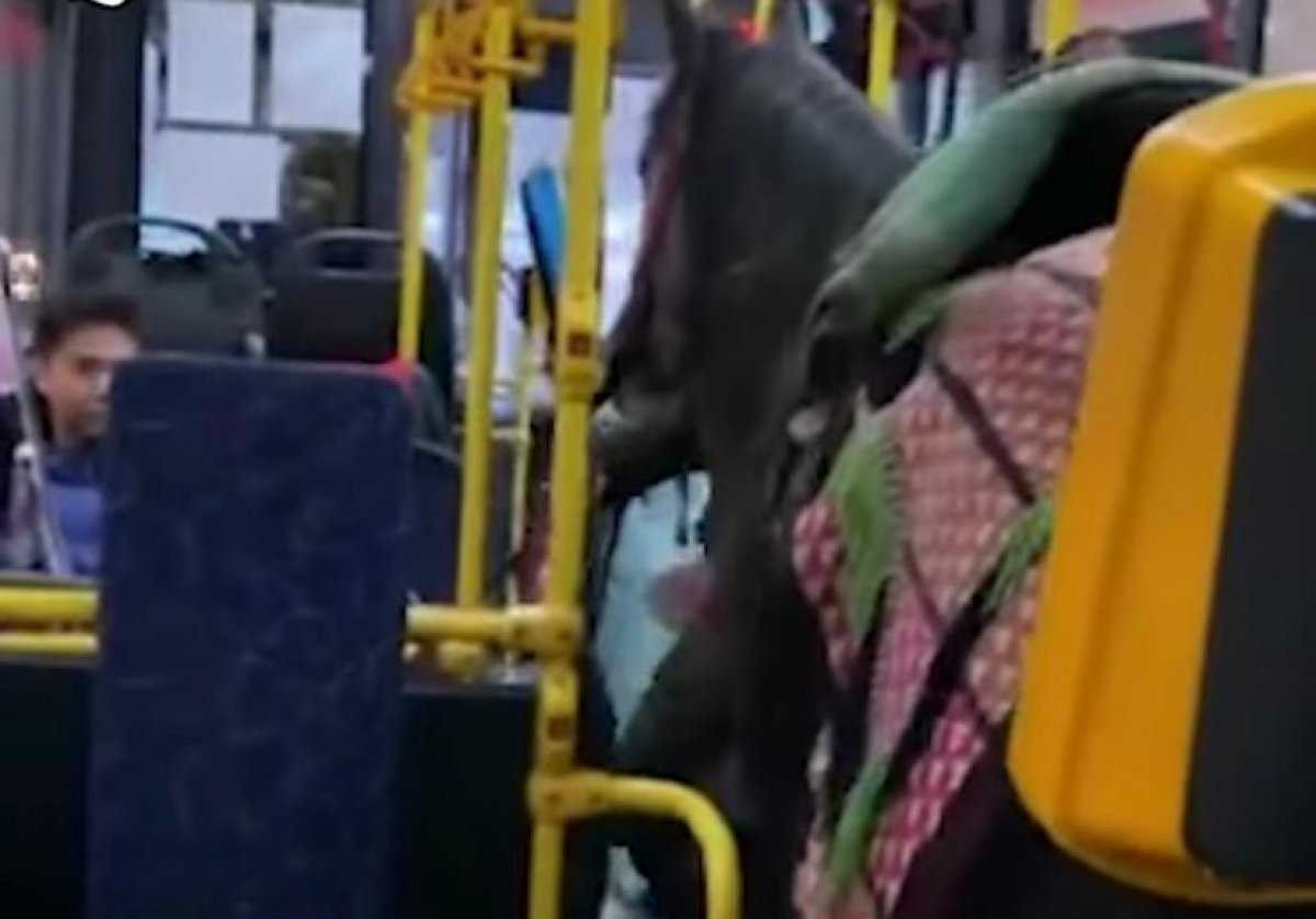 Отделался штрафом: в Алматы наказали перевозчика лошади в автобусе