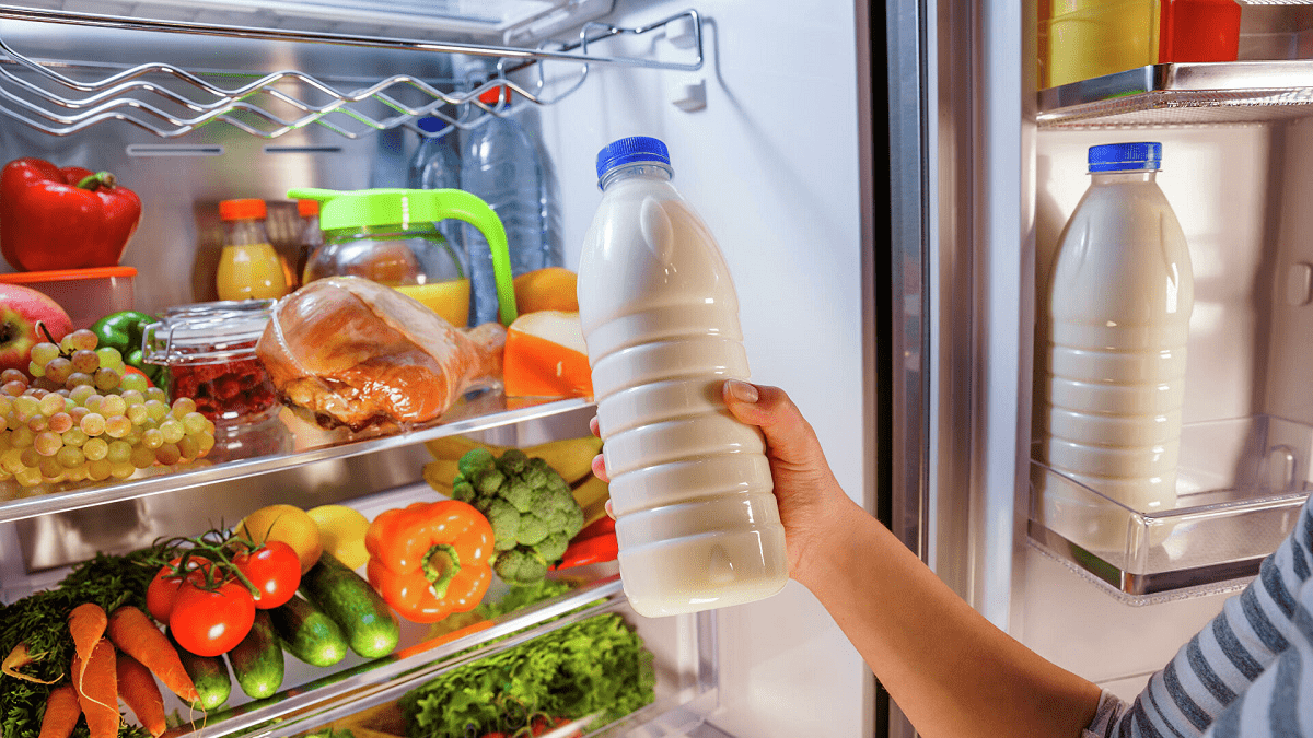 Здоровое питание: какие продукты должны быть в холодильнике - диетолог