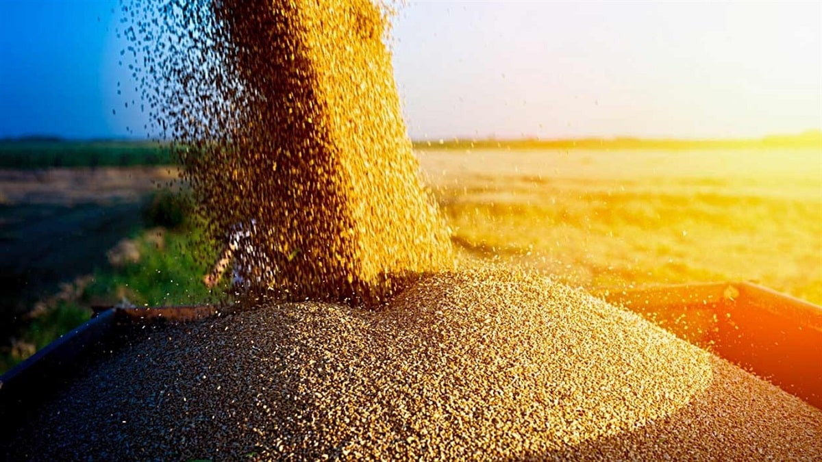 Казахстан ограничит экспорт зерна и муки