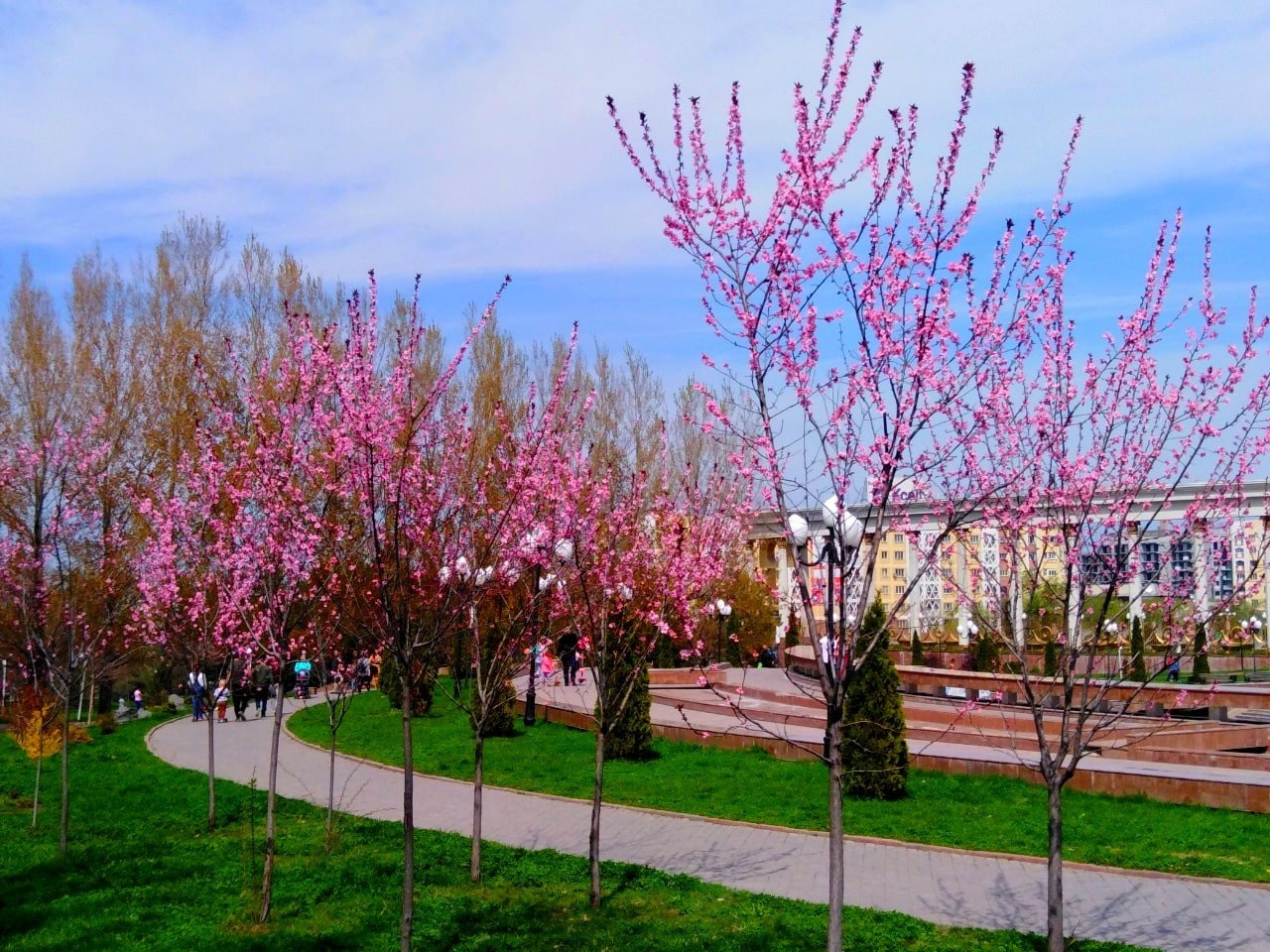 Погода в Алматы с 11 по 17 апреля 2022