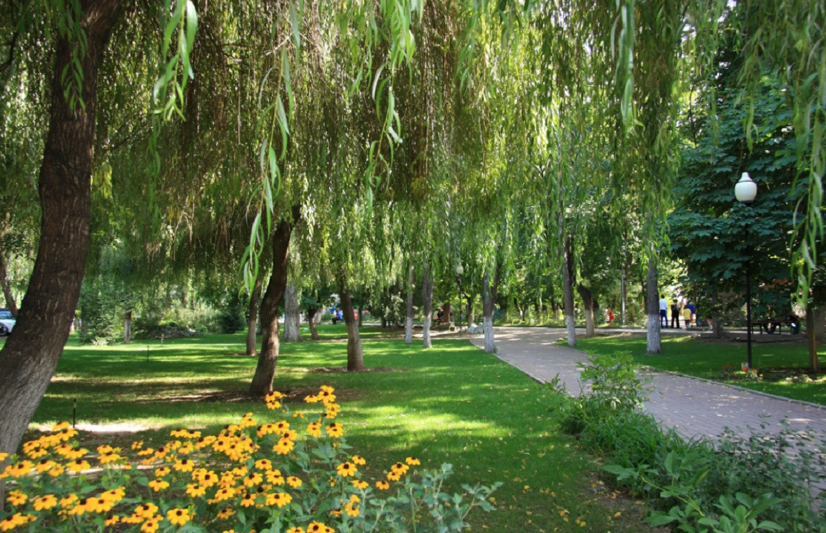 Новые зеленые места отдыха в Алматы - какие планы у акимата на 2022 год 