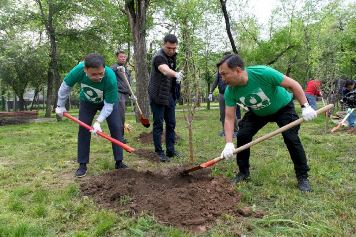 Аким Алматы принял участие в посадке деревьев в рамках экологической акции Alma Qala