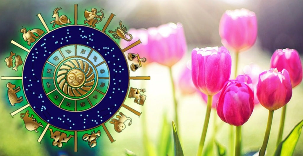 Что говорят звезды: гороскоп с 2 по 8 мая 2022 | Almaty.tv