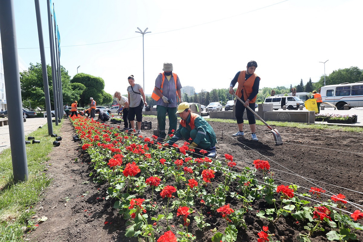 Цветы в Алматы высадят на территории почти 160 000 квадратных метров