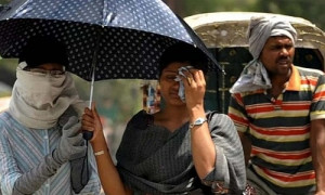Аномальная жара в Индии: температура превысила 48 градусов