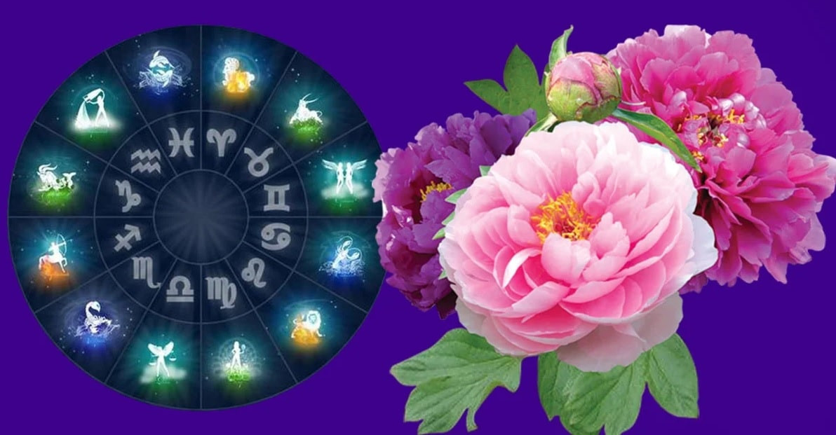 Кому повезет в четверг: гороскоп для всех знаков Зодиака на 19 мая 2022