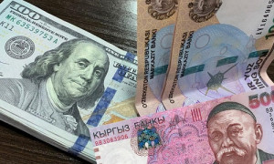 За сколько продают доллары в обменниках Бишкека и Ташкента 19 мая 