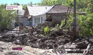 Сель в Текели: подведены итоги технической экспертизы разрушенных домов