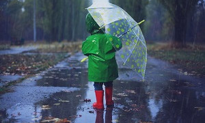 Дожди и грозы ожидаются в большинстве городов Казахстана 28 мая