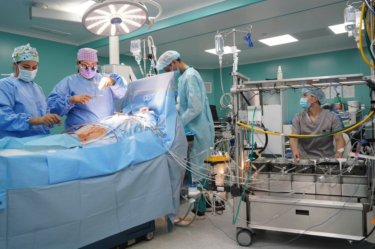 Доктор из Франции провел мастер-класс в Алматы для перфузиологов