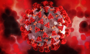 Число заболевших коронавирусом за сутки резко увеличилось в Казахстане