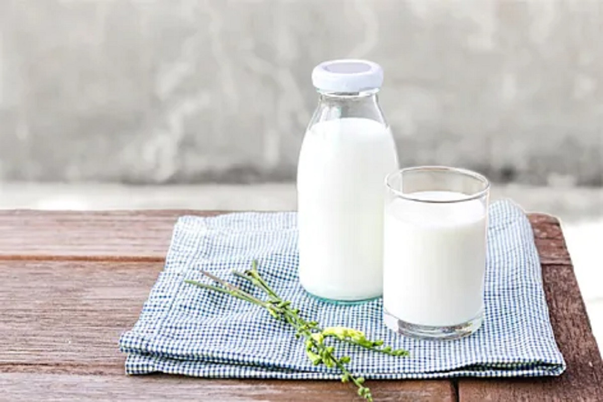 Вкусное и полезное: молоко какой жирности предпочтительнее