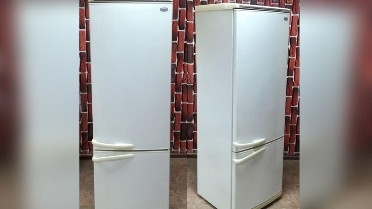 Играл на доверии: полиция Алматы задержала мнимого продавца холодильников
