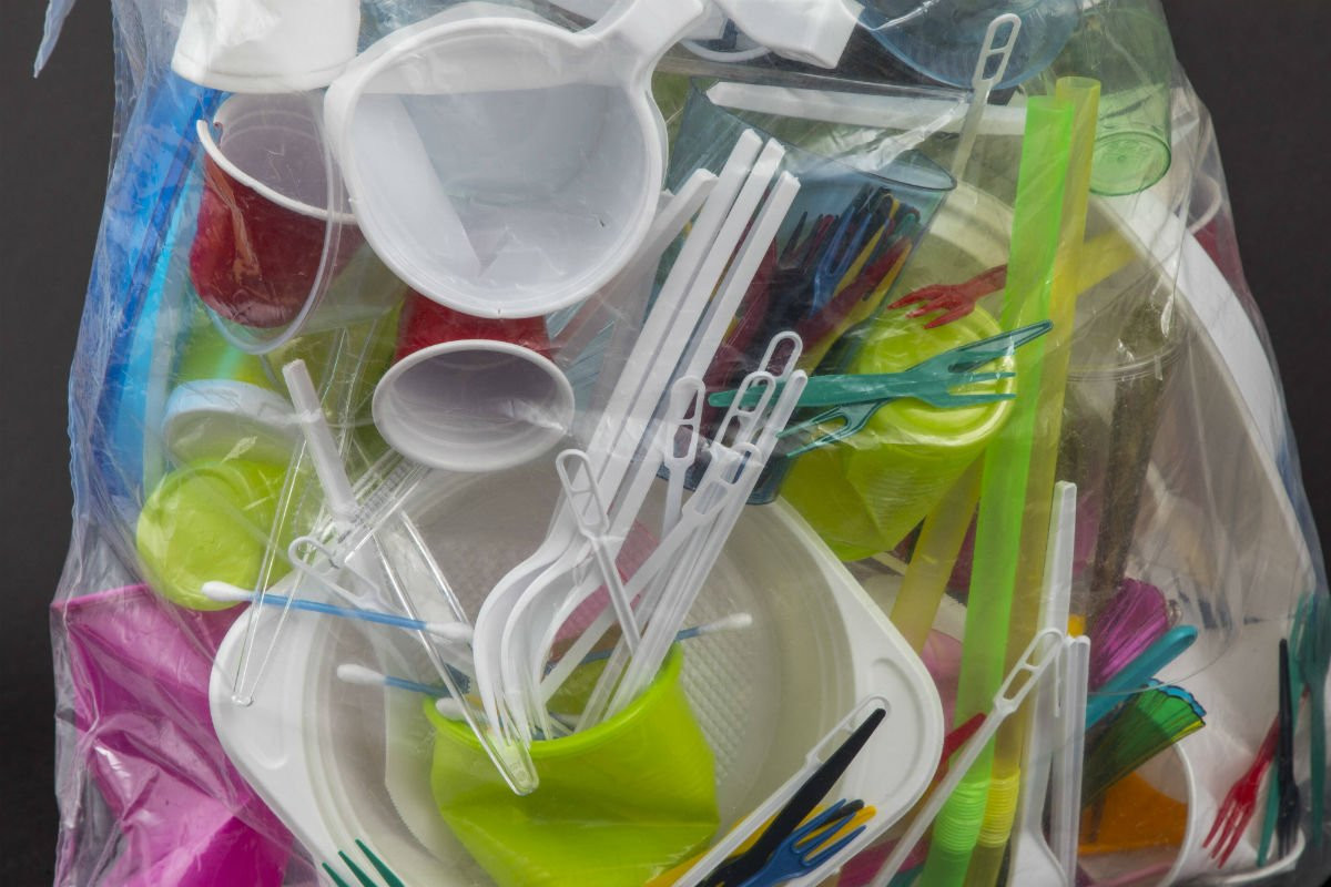 Одноразовую посуду из пластика запретят в Чехии: палата представителей одобрила решение 