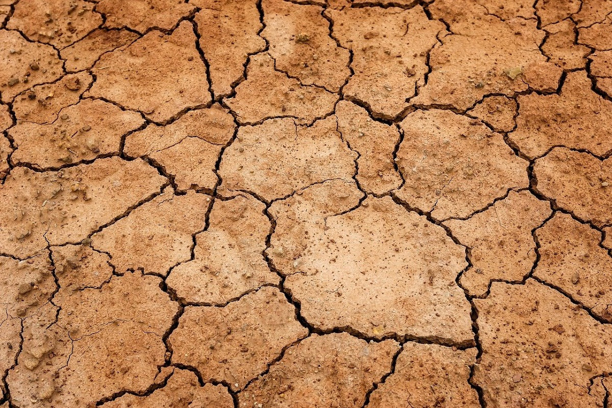 Засуху прогнозируют в нескольких районах пяти областей Казахстана