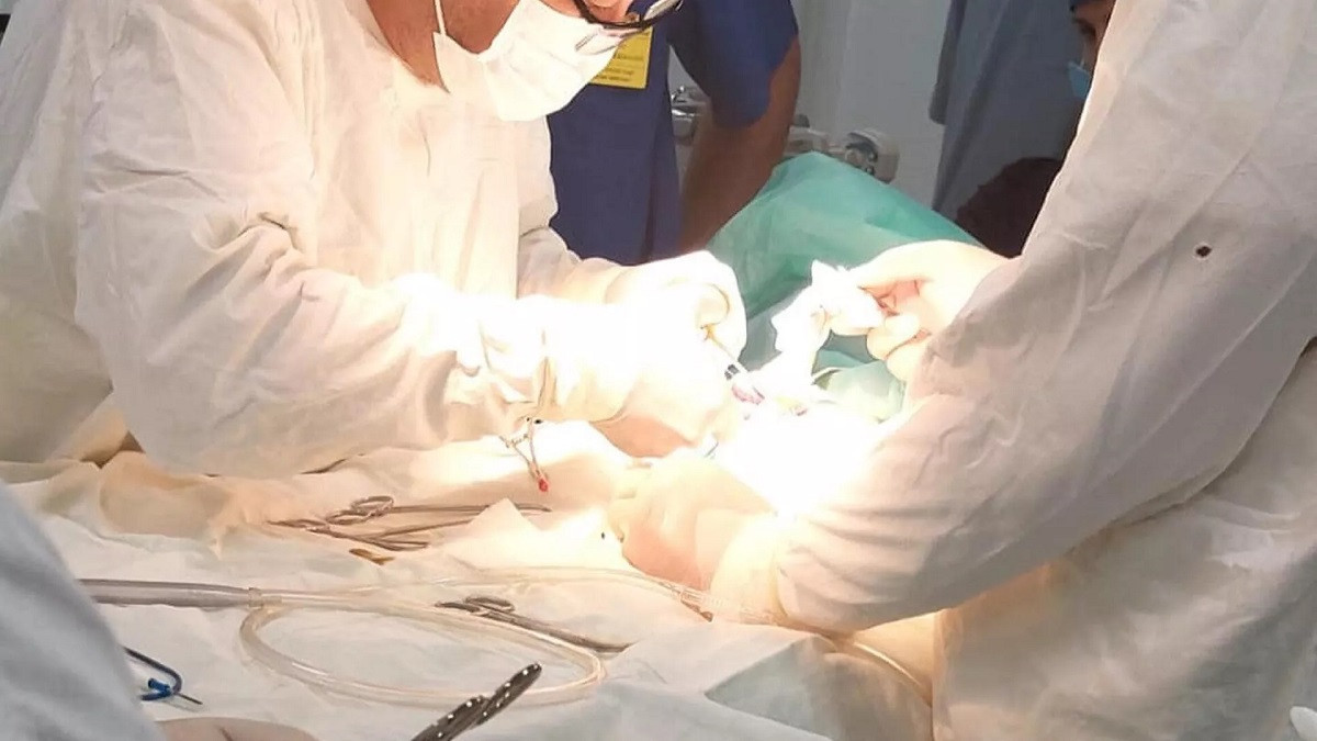В Казахстане пациентам пересадили семь органов от двух погибших людей