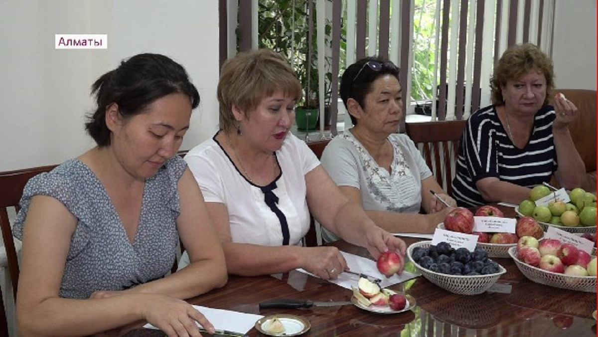 Пять новых сортов ягод и фруктов вывели в Алматы в этом году
