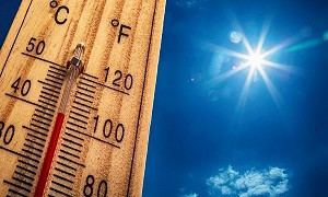 Сильная жара ожидается в нескольких регионах Казахстана