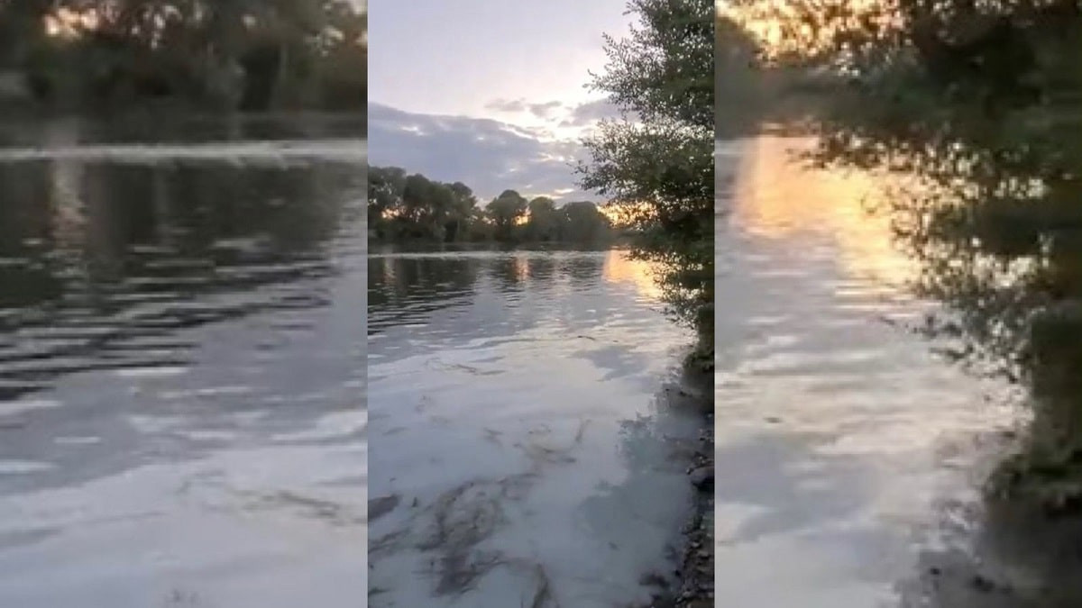 Река побелела: жителей Усть-Каменогорска испугал цвет воды в Иртыше