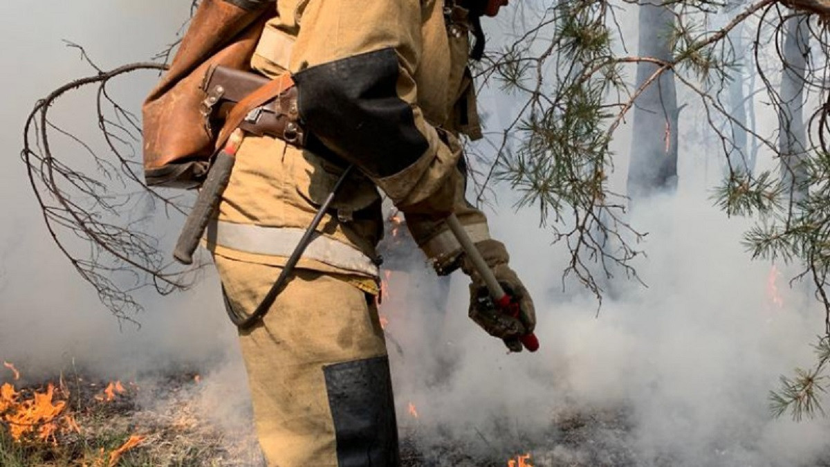 Как пожарные борются с огнем в лесах Костанайской области - фото