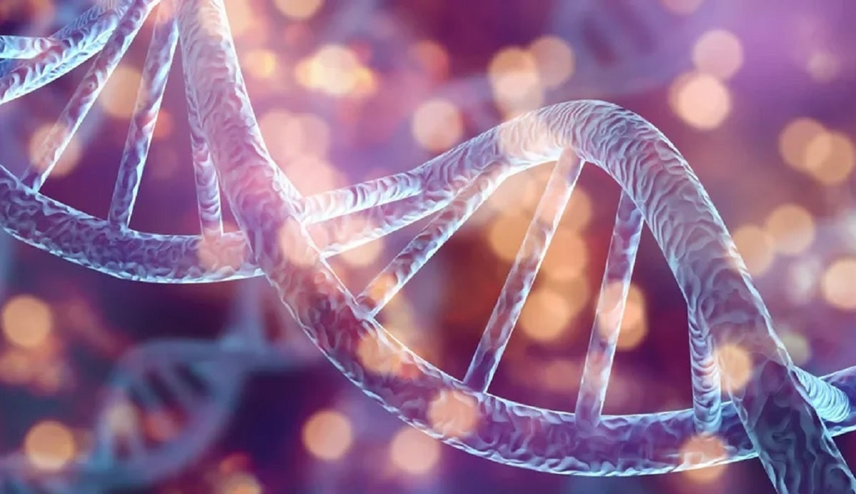 Тесты на измену, пол ребенка и генетический паспорт - ДНК-исследования популярны среди горожан
