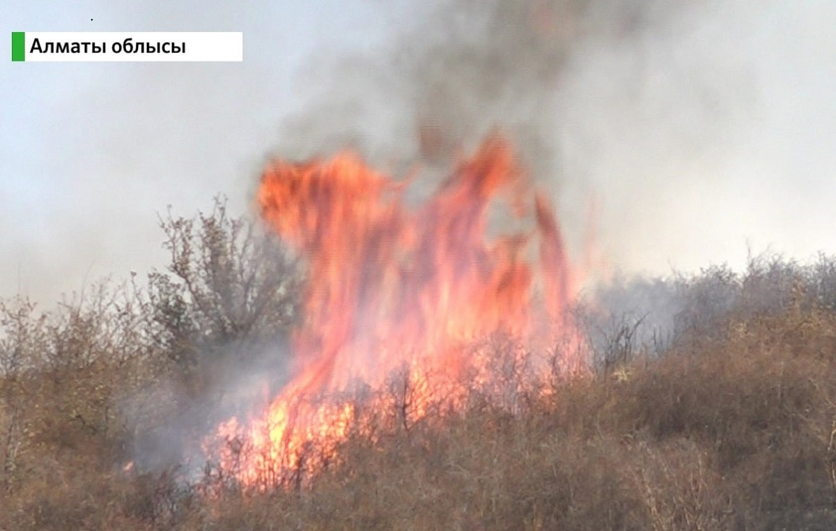 Пожар в Алматинской области: горел сухостой близ села Азат