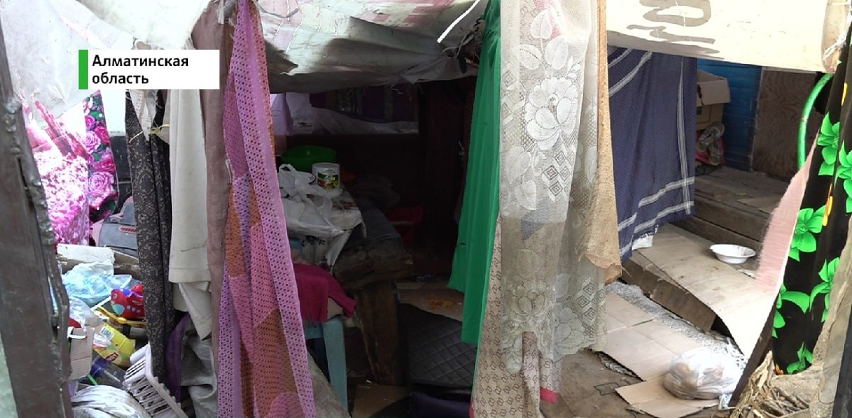 Дом превратили в свалку: в жилище живут 5 человек и 15 животных