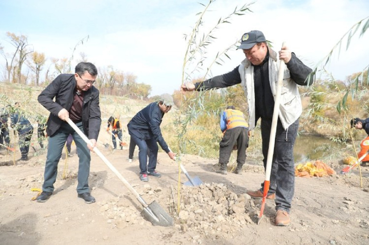 Алматыда Республика күніне орай 1000-нан астам ағаш отырғызылды