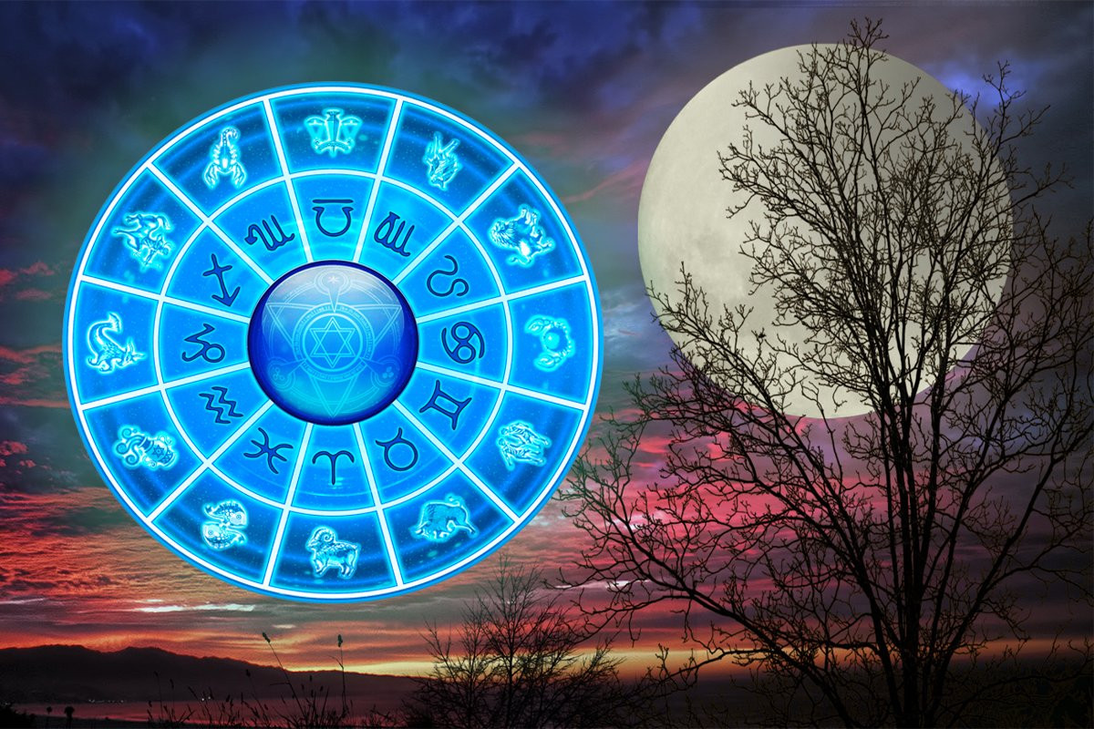 Что говорят звезды: гороскоп с 31 октября по 6 ноября 2022